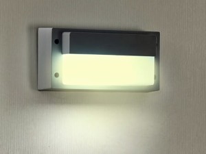 Oprawa elewacyjna LED RRAB 9W WW szara